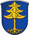 Vereinsring Riedelbach